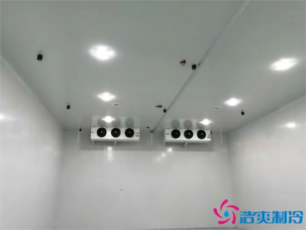 建造彩椒保鮮冷庫(kù)安裝費(fèi)用需要多少錢？