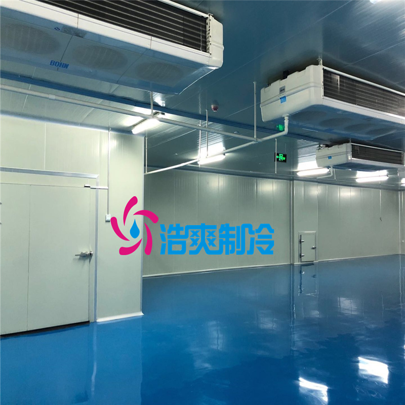 安裝醫(yī)藥專(zhuān)用存儲(chǔ)藥劑冷庫(kù)建設(shè)規(guī)范有哪些？