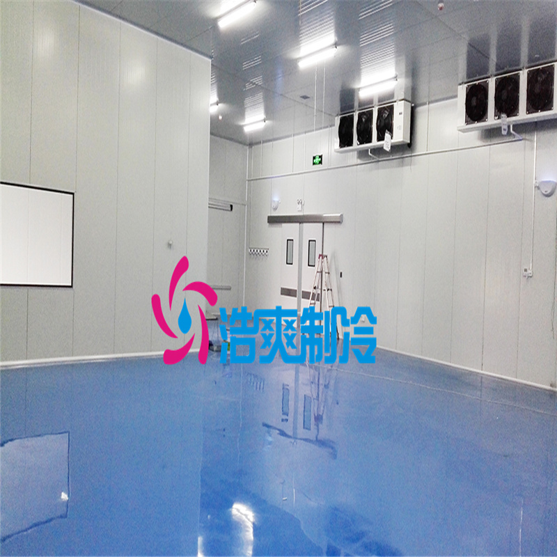 安裝醫(yī)藥專(zhuān)用存儲(chǔ)藥劑冷庫(kù)建設(shè)規(guī)范有哪些？