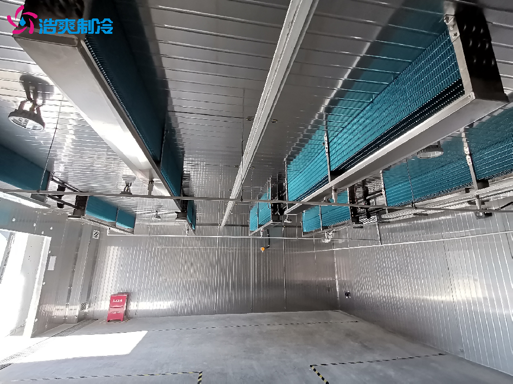 工業(yè)防爆冷庫 冷藏庫 科研凍庫 急凍速凍庫 全套設備安裝建造