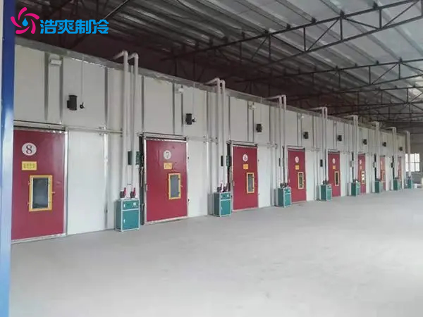 建造300立方米水果氣調保鮮冷庫大概多少錢？