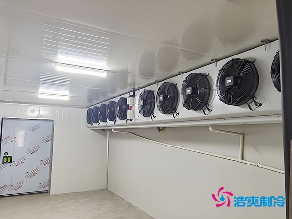 冷凍庫(kù)建設(shè)每平方米的造價(jià)是多少？