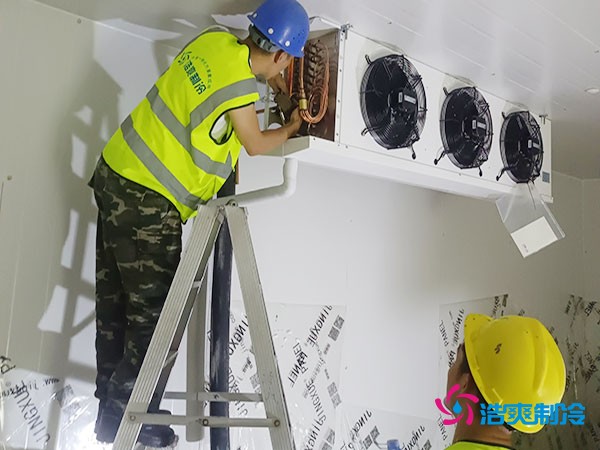 建造一個300平方米的冷凍庫造價需要多少資金投入呢？