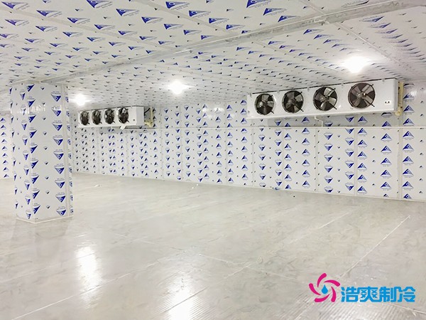 冷庫造價一平米如何計算？智能冷庫建造方案再降百元！