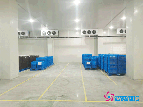 建造一座5000平方米的冷藏庫(kù)造價(jià)需要多少資金?