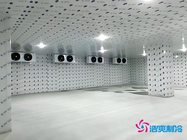 在市區(qū)建設(shè)一個(gè)100平方米的冷庫需要多少費(fèi)用?