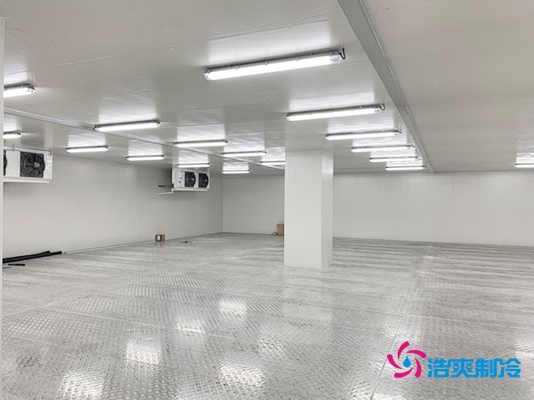 建造200噸冷凍肉低溫冷庫的造價詳解