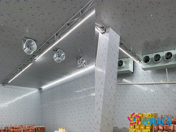 2000平冷庫造價(jià)揭秘:這些因素讓你多花幾十萬!