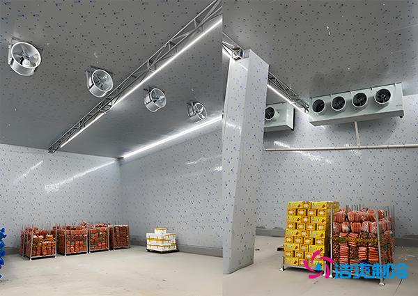 1000噸果蔬保鮮庫造價揭秘，節(jié)省成本就靠這幾點！