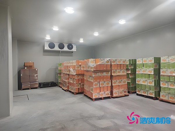 1000噸果蔬保鮮庫造價揭秘，節(jié)省成本就靠這幾點！
