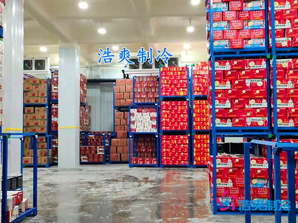 500平果蔬冷庫造價曝光！35萬起建，省錢秘訣在這里！