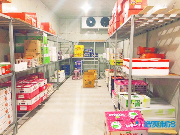 5噸水果需要多大冷庫？答案出乎意料！