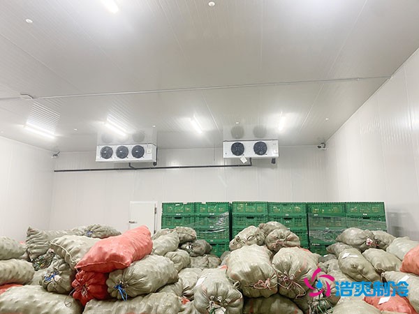 5噸水果需要多大冷庫？答案出乎意料！