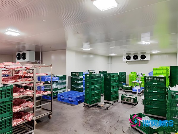 100噸凍肉冷庫造價(jià)預(yù)算概覽與設(shè)計(jì)建造方案