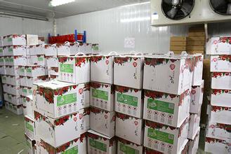 5000立方水果冷庫(kù)