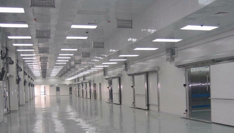 鮮玉米保鮮冷庫安裝，貯藏方法及冷庫報價