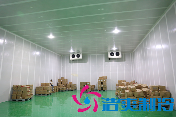 上海藥廠建造-20℃醫(yī)藥血漿冷庫(kù)，超低溫血漿冷庫(kù)定制預(yù)算多少