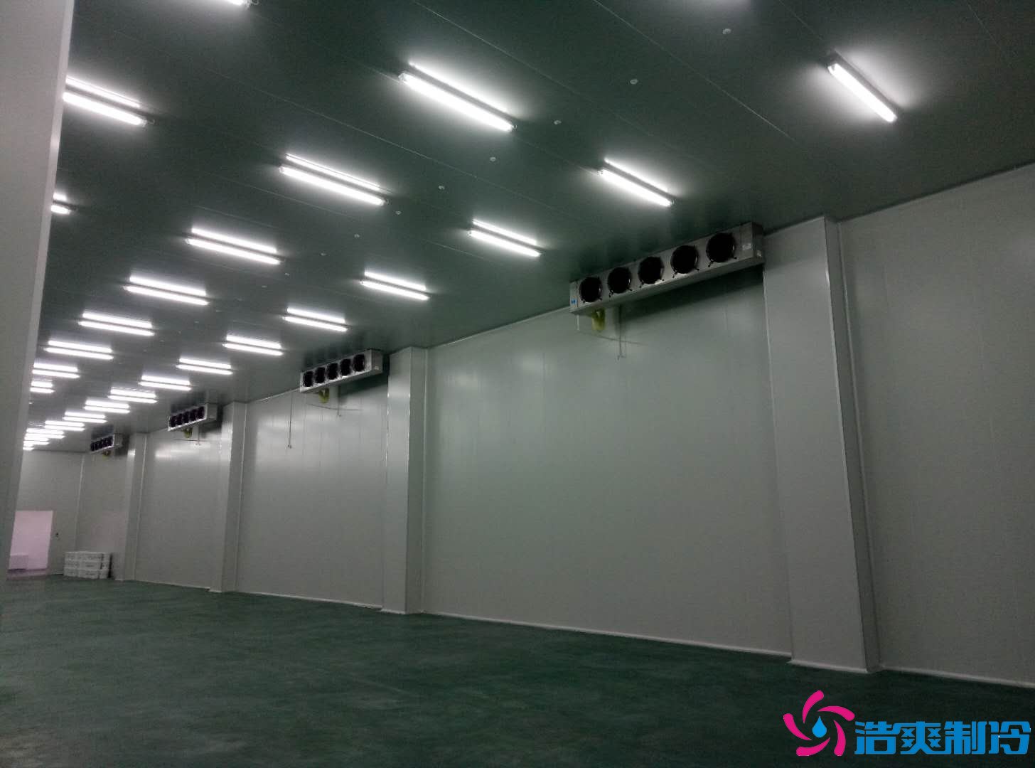 深圳金瑞凱利生物建造100㎡高標準醫(yī)藥冷庫（冷凍冷藏庫）工程案例