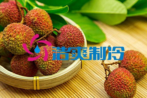 浩爽制冷，氣調(diào)庫(kù)