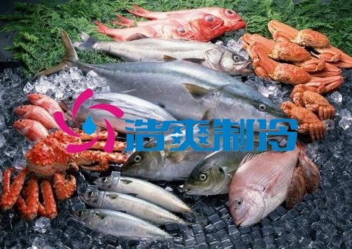 浩爽制冷，海鮮冷凍庫、食品冷凍庫