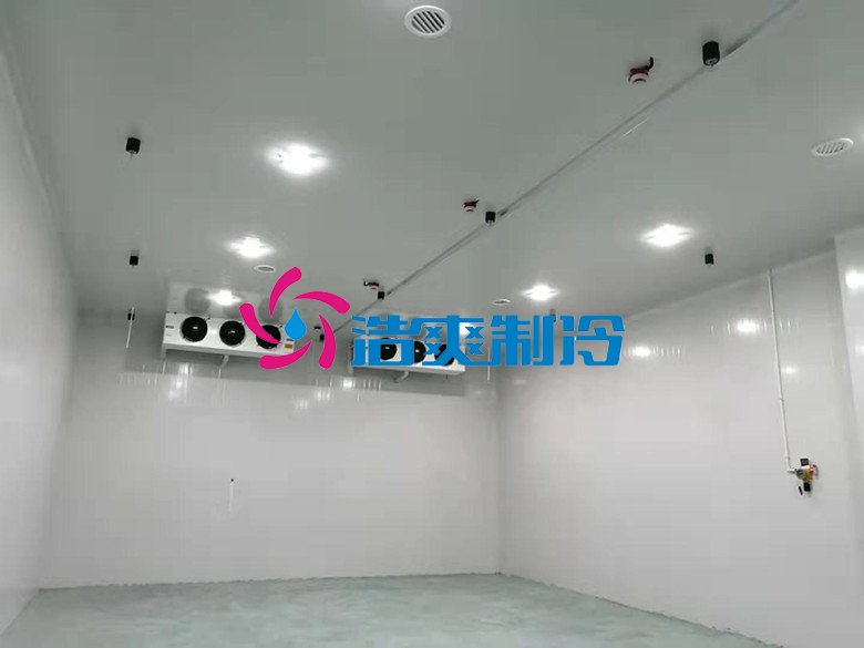 浩爽制冷，巧克力冷藏庫